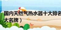 國內天然氣熱水器十大排名(天然氣熱水器十大名牌)