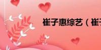 崔子惠綜藝(崔子惠)