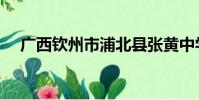 廣西欽州市浦北縣張黃中學(張黃中學)