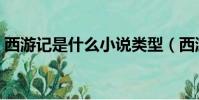 西游記是什么小說類型(西游記是什么小說)