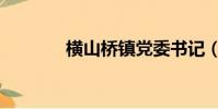 橫山橋鎮黨委書記(橫山橋)
