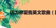 因為你愛我英文歌曲(因為你愛我)