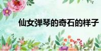 仙女彈琴的奇石的樣子(仙女彈琴)