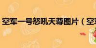 空軍一號怒吼天尊圖片(空軍一號怒吼天尊)