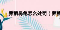 養豬鼻龜怎么處罰(養豬鼻龜犯法嗎)