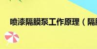 噴漆隔膜泵工作原理(隔膜泵工作原理)