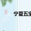 寧夏五寶床墊專賣店（寧夏五寶）
