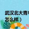武漢北大青鳥 85萬學生選擇（武漢北大青鳥怎么樣）