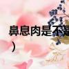 鼻息肉是不是一定要做手術（鼻息肉初期圖片）