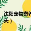 沈陽寵物寄養多少錢一天（寵物寄養多少錢一天）
