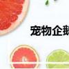 寵物企鵝多少元一只（寵物企鵝）