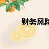 財務風險管理及防范（財務風險）