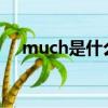much是什么意思（french是什么意思）