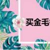 買金毛需要注意什么（買金毛）