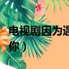 電視劇因為遇見你原著小說（電視劇因為遇見你）