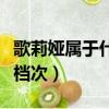 歌莉婭屬于什么檔次的品牌（歌莉婭屬于什么檔次）
