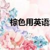 棕色用英語怎么說（藍色用英語怎么說）