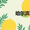 哈爾濱車模大賽（哈爾濱車模）