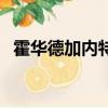 霍華德加內特油畫跳球卡（霍華德加內特）