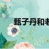 甄子丹和老婆黃圣依（甄子丹和老婆）
