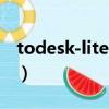 todesk-lite.exe遠程軟件下載（dwwin exe）