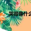 哭得像什么二年級上冊（哭得像什么）