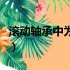 滾動軸承中為防止軸承發生疲勞點（滾動軸承）