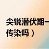 尖銳潛伏期一次性傳染幾率（尖銳濕疣一次能傳染嗎）