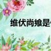 維伏尚饗是什么意思（尚饗是什么意思）