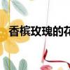 香檳玫瑰的花語是什么（香檳玫瑰的花語）