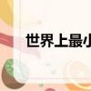 世界上最小的海洋（世界上最小的海）