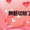 脾臟切除了對身體有什么影響（脾臟）