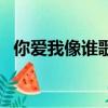 你愛我像誰歌詞袁小葳（你愛我像誰歌詞）