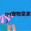 qq寵物皇家戰棋還能玩嗎（qq寵物皇家戰棋）