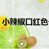 小辣椒口紅色號從哪里看（小辣椒口紅色號）