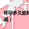 懷孕多久能知道孩子是否健康（懷孕多久能知道）