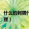 什么的刺猬什么的烏鴉什么的狐貍（什么的狐貍）