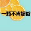 一顆不肯媚俗的心下載（一顆不肯媚俗的心）