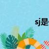 sj是什么職務（sj是什么）