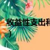 收益性支出和資本性支出的區別（收益性支出）