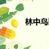 林中鳥歌詞圖片（林中鳥歌詞）