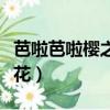 芭啦芭啦櫻之花宋雨琦黃旭熙（巴拉巴拉櫻之花）