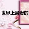 世界上最貴的魚子醬多少錢（魚子醬多少錢）