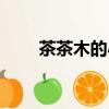 茶茶木的小說哪本最好看（茶茶木）