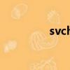 svchost進程（svchost）