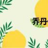 喬丹傳人籃球（喬丹傳人）