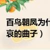 百鳥朝鳳為什么是大哀的曲子（百鳥朝鳳是大哀的曲子）