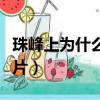 珠峰上為什么不能收尸（為什么珠峰頂沒有照片）