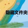 隱藏文件夾病毒殺毒（隱藏文件夾病毒）