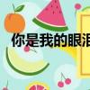 你是我的眼淚是什么意思（你是我的眼淚）